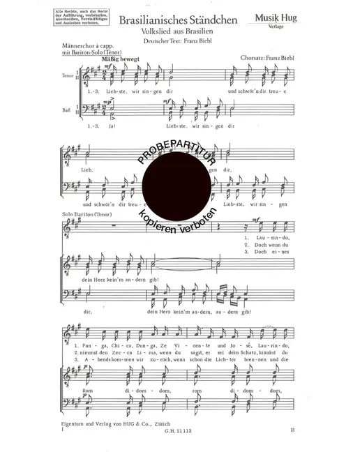 Brasilianisches Ständchen